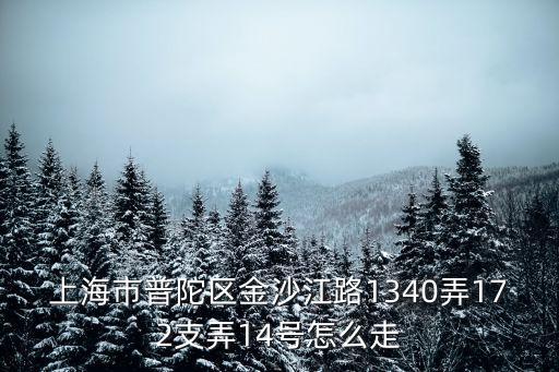 上海市普陀區金沙江路1340弄172支弄14號怎么走