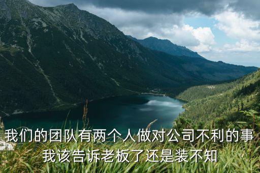 我們的團隊，我們的團隊有兩個人做對公司不利的事我該告訴老板了還是裝不知
