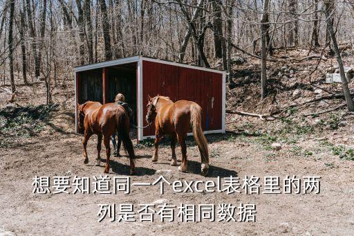 想要知道同一個(gè)excel表格里的兩列是否有相同數(shù)據(jù)