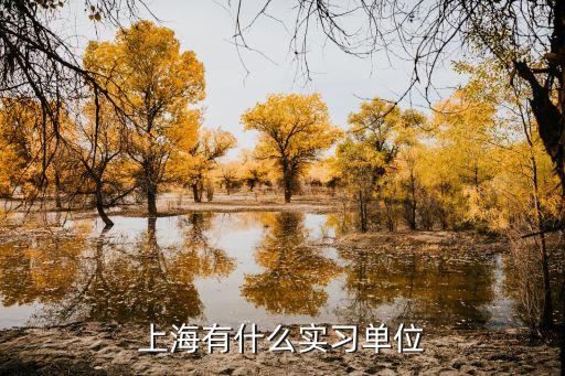 上海市 學(xué)生 實(shí)踐，上海大學(xué)生 暑期實(shí)踐