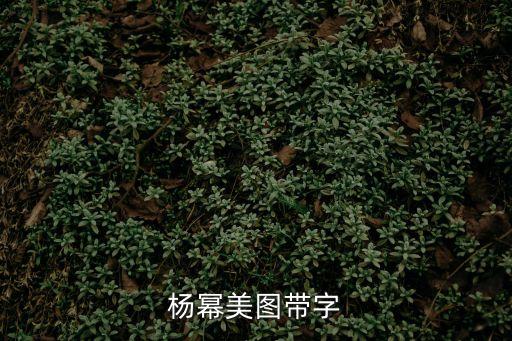 楊冪手機壁紙，楊冪美圖