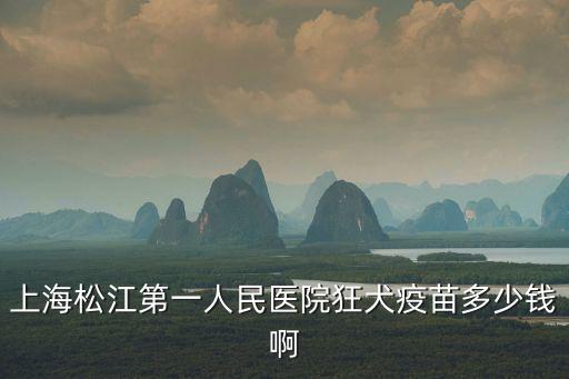 上海松江第一人民醫院狂犬疫苗多少錢啊
