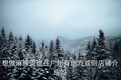 想做麻辣燙誰在廣州有地方或則店鋪介紹嗎