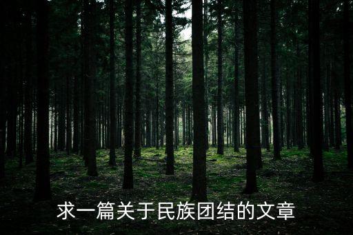 民族團結論文，論文我愛我的祖國民族團結是福