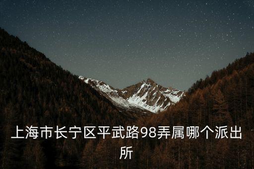 上海市平武路那個街道，上海市長寧區平武路98弄屬哪個派出所