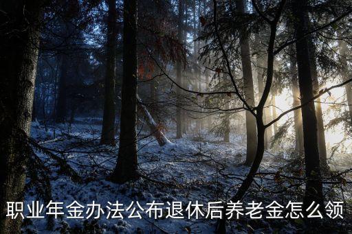 職業(yè)年金辦法公布退休后養(yǎng)老金怎么領(lǐng)