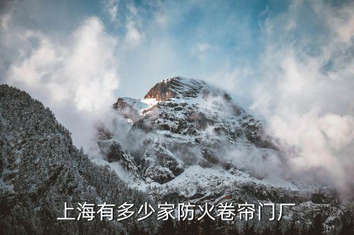 上海市防火門有限公司，上海有多少家防火卷簾門廠