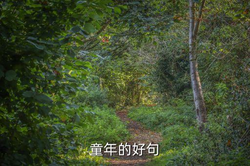 關(guān)于童年的好句，關(guān)于童年的好詞好句急急急