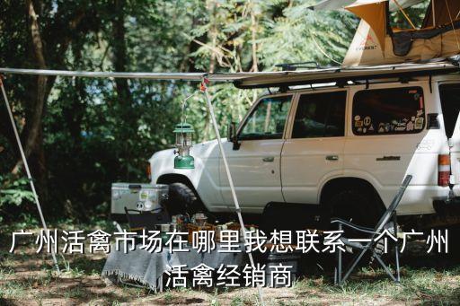 廣州哪個(gè)菜市場(chǎng)有童子雞賣，廣州天河區(qū)哪里有小雞賣