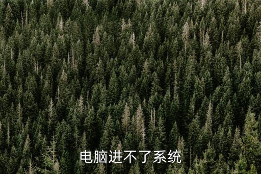 電腦進不去系統，電腦進不了系統