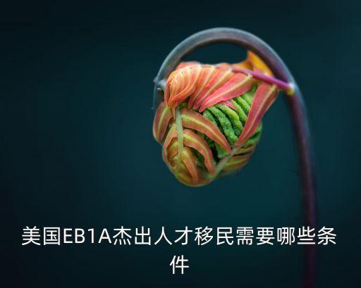 廣州美國eb1a移民條件，美國EB1A杰出人才移民需要哪些條件