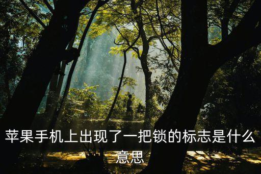 鎖圖標，蘋果手機右上角顯示一把鎖的圖標怎么回事謝謝解答