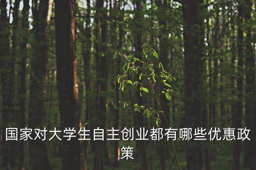 雙創政策，簡述國家在雙創方面的部署