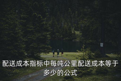 配送成本指標中每噸公里配送成本等于多少的公式