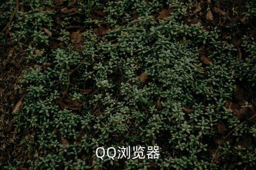 qq瀏覽器網頁，QQ瀏覽器