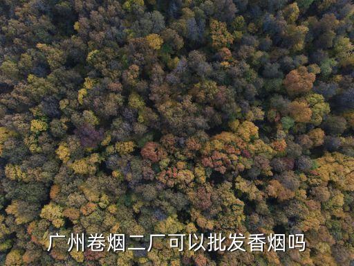廣州卷煙二廠規劃，廣州卷煙二廠為何遲遲不遷出