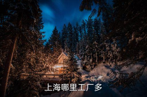 上海哪里工廠多