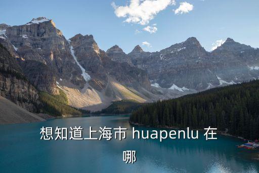 上海市普澤斯，想知道上海市 huapenlu 在哪