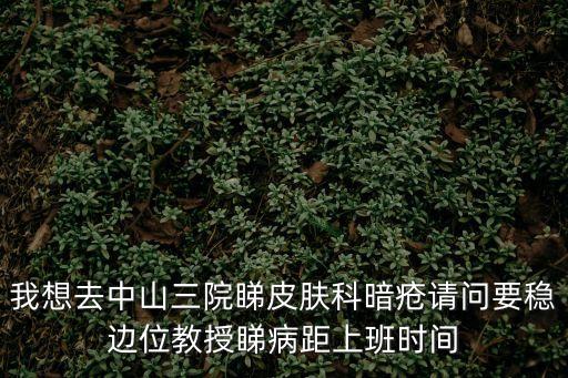 我想去中山三院睇皮膚科暗瘡請問要穩邊位教授睇病距上班時間