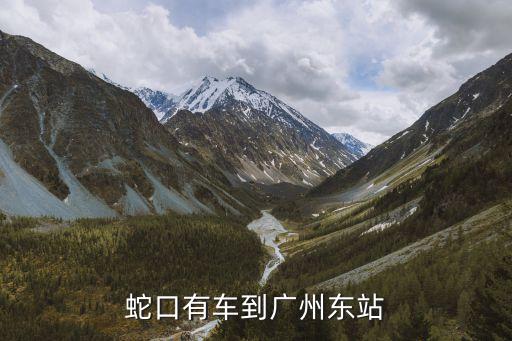 深圳蛇口到廣州東汽車站，從深圳南山蛇口到廣州東站坐汽車怎么坐方便
