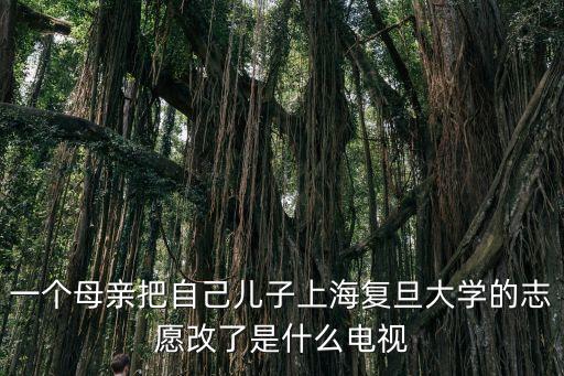 一個母親把自己兒子上海復旦大學的志愿改了是什么電視