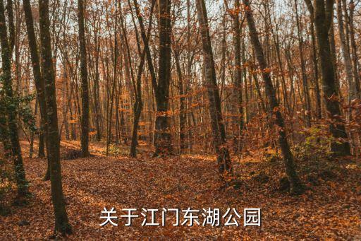 關于江門東湖公園