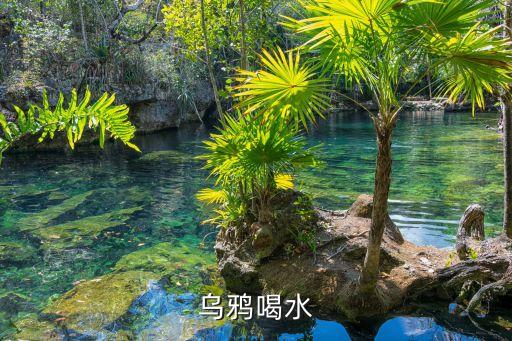 烏鴉喝水課文，是小學(xué)幾年級課本里的文章