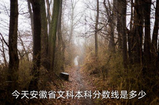 安徽文科分?jǐn)?shù)線，今天安徽省文科本科分?jǐn)?shù)線是多少