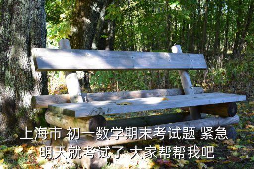 上海市 初一數學期末考試題 緊急 明天就考試了 大家幫幫我吧