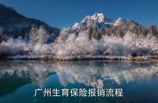 廣州住院生孩子費用怎么報銷，廣州生育保險報銷流程是怎樣的