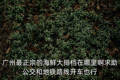 廣州最正宗的海鮮大排檔在哪里啊求助公交和地鐵路線開(kāi)車也行