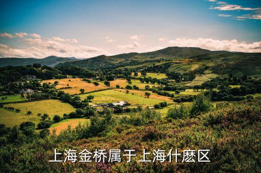 上海市金橋陳恩華，誰知道上海金橋小額貸款股份有限公司是騙子還是正規公司