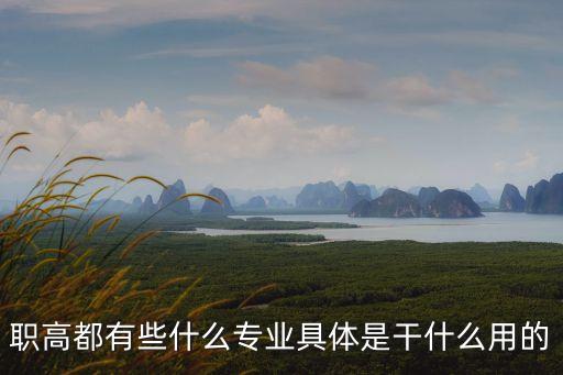 職高都有些什么專業具體是干什么用的