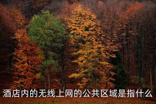 酒店內(nèi)的無線上網(wǎng)的公共區(qū)域是指什么