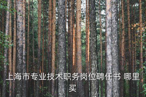 上海市初級職稱聘任書，上海市專業(yè)技術(shù)職務(wù)崗位聘任書