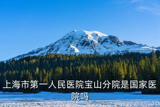 上海市第一人民醫院寶山分院是國家醫院嗎