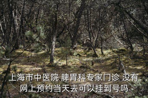 上海市中醫院 脾胃科專家門診 沒有網上預約當天去可以掛到號嗎