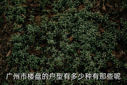 廣州芳村小區戶型，廣州市樓盤的戶型有多少種有那些呢