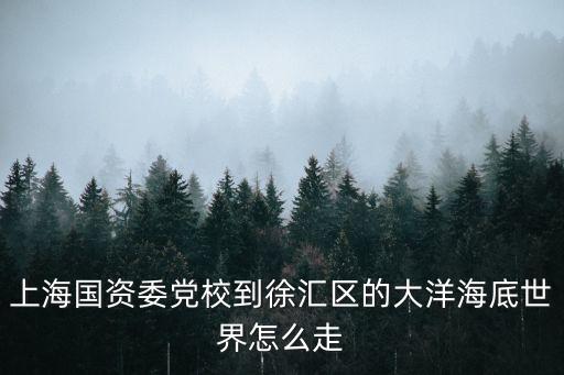 上海國資委黨校到徐匯區的大洋海底世界怎么走