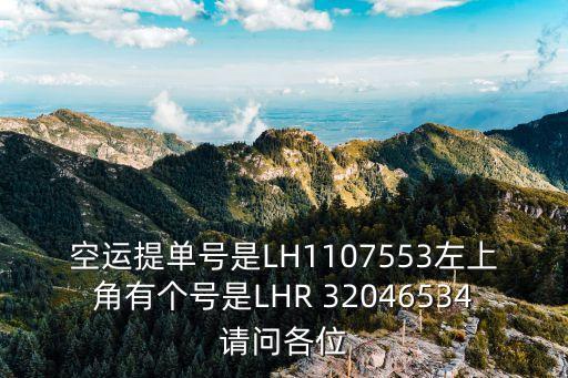 空運提單號是LH1107553左上角有個號是LHR 32046534請問各位