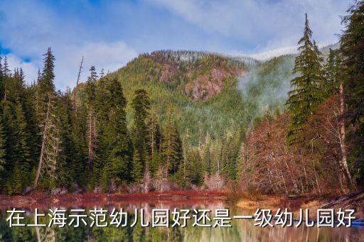 上海市公辦一級幼兒園好不好，上海市寶山城市實驗幼兒園好嗎