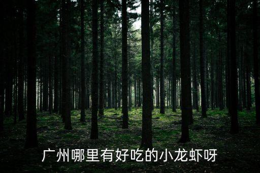 廣州海珠小龍蝦哪家最好吃，廣州那里有吃香辣小龍蝦