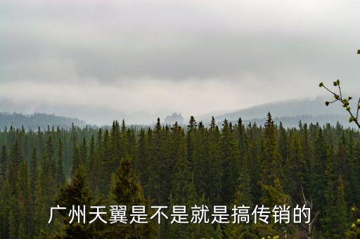 廣州天翼是不是就是搞傳銷的