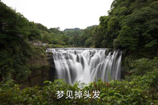 夢見梳頭掉頭發，夢見掉頭發