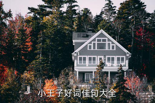 小王子好詞好句，小王子里的好詞好句