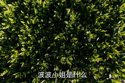 波波小姐，波波小姐帶一個(gè)龐大的旅游團(tuán)外出游覽中午時(shí)她拿出準(zhǔn)備的100份