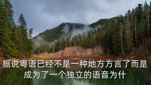 廣州粵語有多強，據說粵語已經不是一種地方方言了而是成為了一個獨立的語音為什