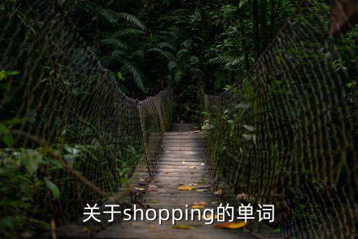 關(guān)于shopping的單詞