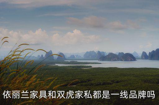雙虎家具是十大名牌嗎，雙虎在十大家具排名