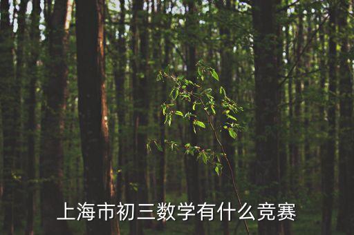 上海市初三數(shù)學有什么競賽